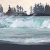 Wild-Surf-Tofino Chesterman Beach 24x48